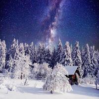 Starry sky and a tree in frost at the beautiful photo