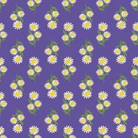 Seamless pattern of white chamomile flowers with green leaves on purple background. Print with field plant daisy. Vector flat illustration