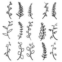 doodle hand drawn tree branches with leaves and flowers vector