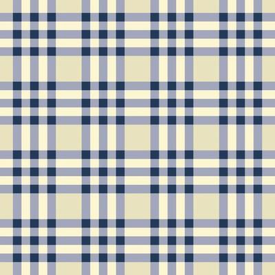 Modern white-cream and blue color ethnic gingham tartan plaid square shape seamless pattern background. Use for fabric, textile, interior decoration elements, upholstery, wrapping.