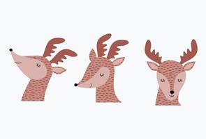 lindo juego de vectores de dibujos animados de ciervos. colección de personajes de vida silvestre.