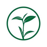 green tea leaf circle logo design vector