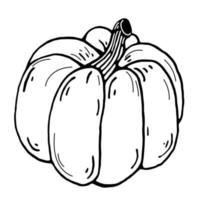 icono de vector de calabaza. verdura de otoño dibujada a mano. contorno negro, garabato. arte lineal, boceto de comida. ilustración de tinta aislada sobre fondo blanco. monocromo, estilo de dibujos animados para halloween.