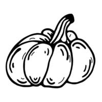 Pumpkin vector icon. Hand-drawn black doodle. Thin outline, sketch of food. Halloween autumn vegetable. Isolated illustration on a white background. Monochrome.