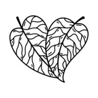 Leaves heart shaped vector icon.Hand drawn illustration isolated on white background.Botanical elements with veins, petioles.Symbol of unity with nature, veganism, organic products.Monochrome sketch