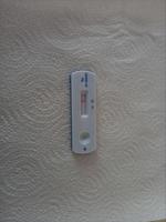 Covid-19 rapid antigen home test kit, a negative result of the virus photo