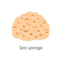 Vector illustration of sea sponges in cartoon flat style solated on a white background. Zero waste natural eco products for washing dishes, body.