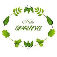 Spring Plants Border vector