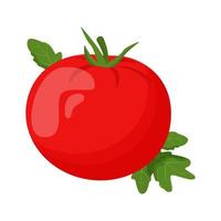 Whole tomato isolated on white background. Flat vector illustration.