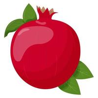 Whole pomegranate isolated on white background. Flat vector illustration.