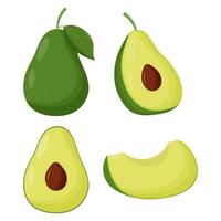 Set of avocado isolated on white background. Flat vector illustration