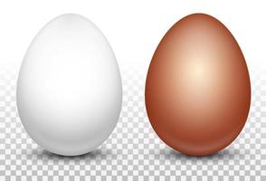 dos huevos de gallina blancos y rojos. diseño para el patrón de pascua. producto ecológico. Imagen realista en 3D aislada sobre fondo transparente. ilustración vectorial vector