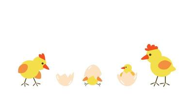 Cute vector banner - small yellow chikens hatching from egg