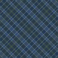 Tartan plaid pattern background. Fabric texture. Vector. vector