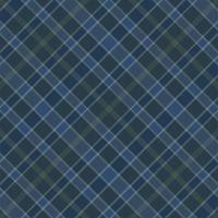 Tartan plaid pattern background. Fabric texture. Vector. vector