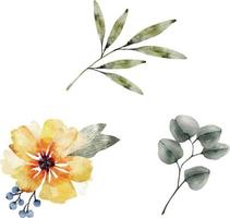 Botanical set of flowers and plants watercolor illustrations. vector