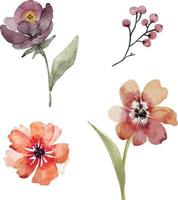 Botanical set of flowers and plants watercolor illustrations. vector