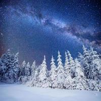 star trek lechero en el bosque de invierno foto