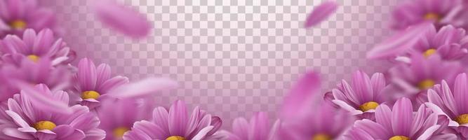 Fondo 3d con flores de crisantemo rosa realistas y pétalos que caen. ilustración vectorial vector