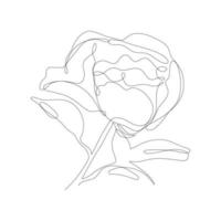 Continuous one line pion flower. Dark contour on white background. Simple flower outline. Vector illustration.