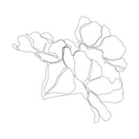 Continuous one line pion flower. Dark contour on white background. Simple flower outline. Vector illustration.