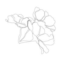 Continuous one line pion flower. Dark contour on white background. Simple flower outline. Vector illustration.