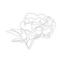 Continuous one line pion flower. Dark contour on white background. Simple flower outline. Vector illustration.