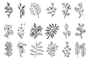 Hand drawn vector design floral elements