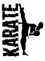 karate kick logo vector