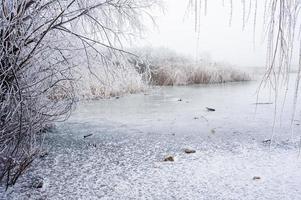 Frozen moor lake in winter photo