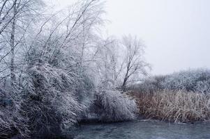 Frozen moor lake in winter photo