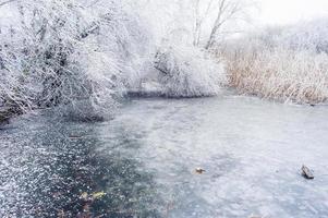 Frozen moor lake in winter photo