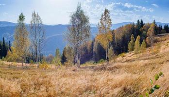 rock massif in the Carpathians photo