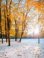 October mountain beech photo