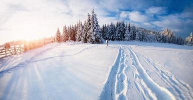 fabulous winter landscape photo