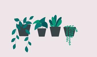 Green plants in pot vector