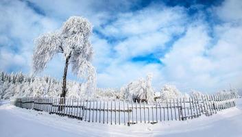 Winter landscape in mountains photo