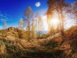 Landscape autumn park photo