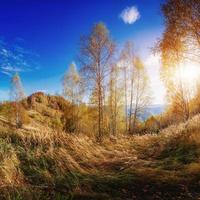 Landscape autumn park photo