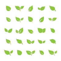 unique green leaf symbol logo vector complete collection bundle