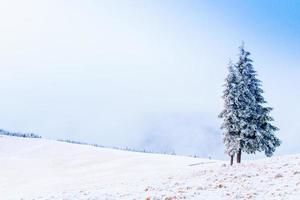 maravilloso paisaje de invierno foto