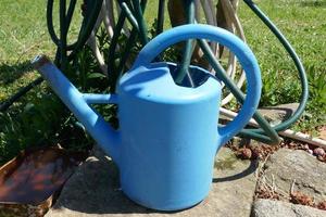 Blue Plastic Watering Can photo