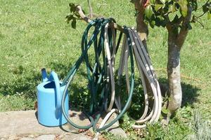 Blue Plastic Watering Can photo