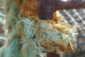 Blue Rope Knotted photo