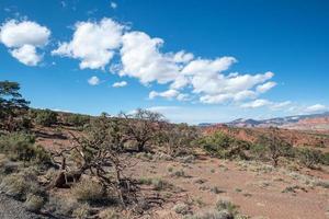 Capitol Reef National Park on a sunny day in the state of Utah. photo