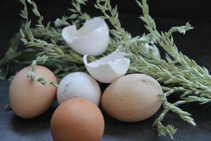 huevos. cáscara de huevo. otoño. Pascua de Resurrección. pueblo de granja foto