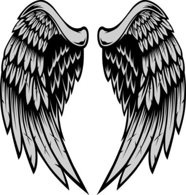 Wings Illustration in tattoo style
