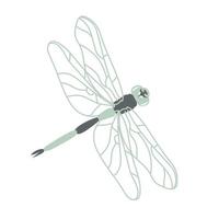 Green dragonfly in contour style vector