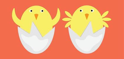 Vector of the chick series, vector of newly hatched twin chicks from eggs. Good for icons or symbols