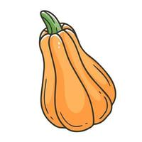 An elongated yellow pumpkin in a simple doodle style. Vector illustration with vegetable isolated on background.